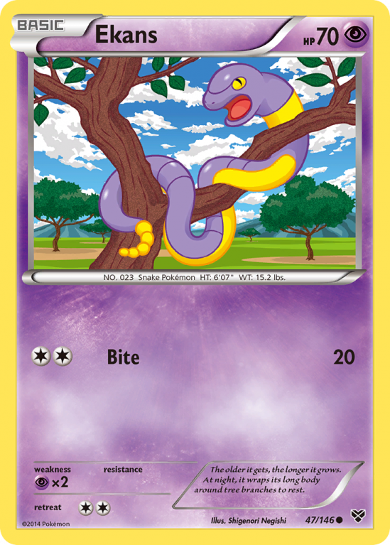 Ekans 47/146 XY XY