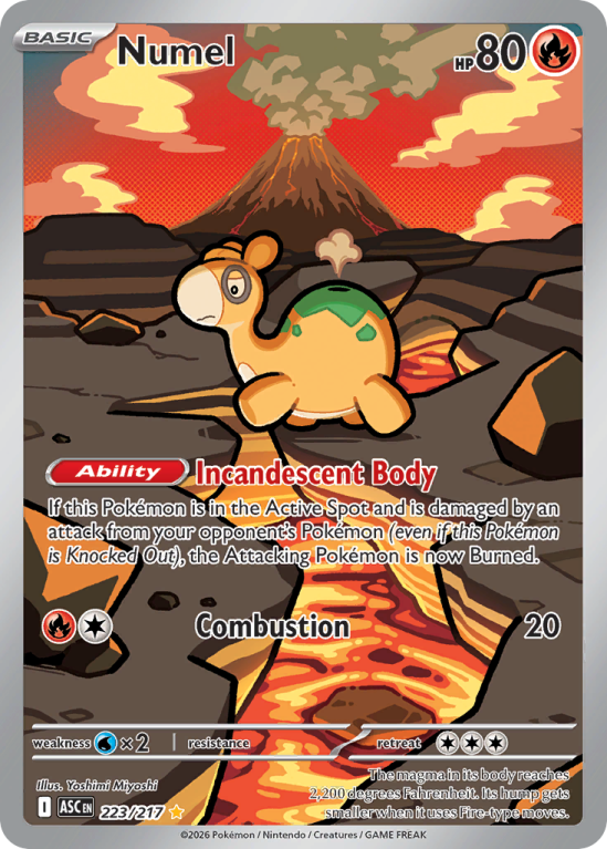 Pokémonkaart Numel nummer 223/217 uit de set Ascended Heroes (Mega Evolution)