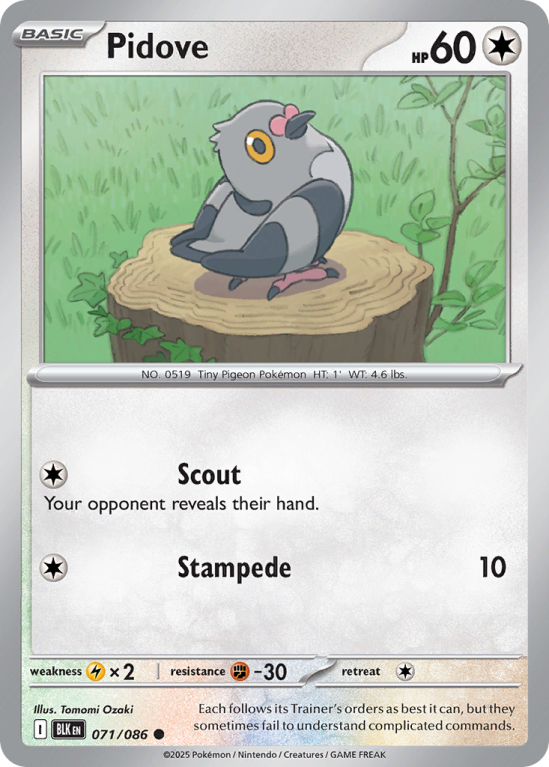Pokémonkaart Pidove nummer 71/86 uit de set Black Bolt (Scarlet & Violet)
