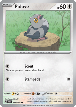 Pokémonkaart Pidove nummer 71/86 uit de set Black Bolt (Scarlet & Violet)