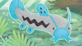 Barboach op een Pokémonkaart