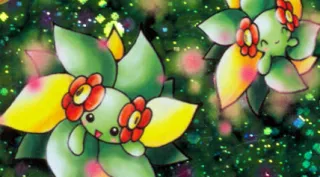 Bellossom zoals afgebeeld op zijn oudste kaart