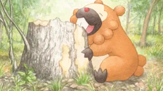 Bidoof op een Pokémonkaart