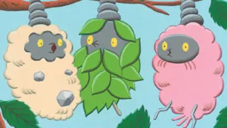 Burmy op een Pokémonkaart