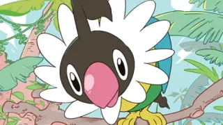 Chatot zoals afgebeeld op zijn nieuwste kaart