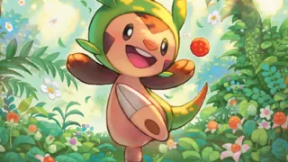 Chespin op een Pokémonkaart