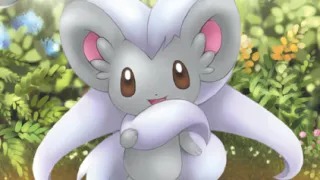 Cinccino zoals afgebeeld op zijn oudste kaart