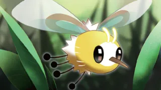 Cutiefly zoals afgebeeld op zijn oudste kaart