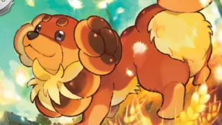 Dachsbun op een Pokémonkaart