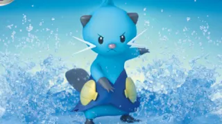 Dewott zoals afgebeeld op zijn oudste kaart