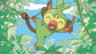 Grookey op een Pokémonkaart