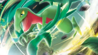 Grovyle op een Pokémonkaart
