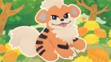 Growlithe