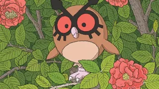 Hoothoot op een Pokémonkaart