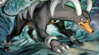 Houndoom op een Pokémonkaart