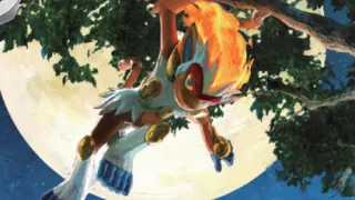 Infernape op een Pokémonkaart