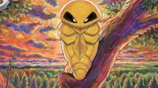 Kakuna op een Pokémonkaart