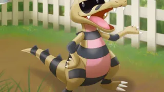 Krokorok zoals afgebeeld op zijn oudste kaart