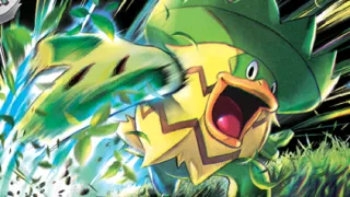 Ludicolo op een Pokémonkaart