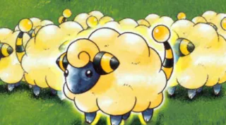 Mareep zoals afgebeeld op zijn oudste kaart