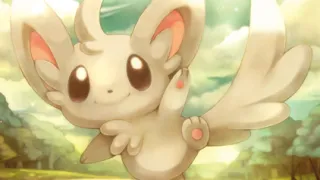 Minccino zoals afgebeeld op zijn oudste kaart