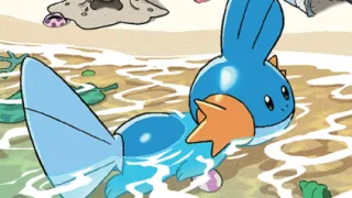 Mudkip op een Pokémonkaart