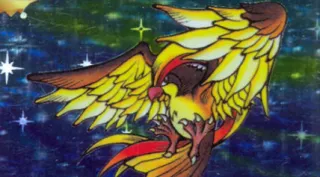 Pidgeot zoals afgebeeld op zijn oudste kaart