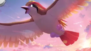 Pidgeot op een Pokémonkaart