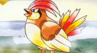Pidgeotto zoals afgebeeld op zijn oudste kaart