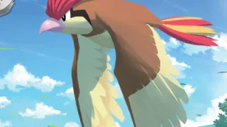 Pidgeotto op een Pokémonkaart