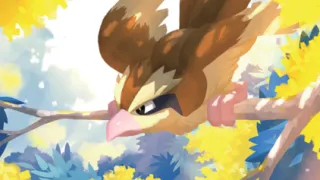 Pidgey op een Pokémonkaart