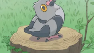 Pidove op een Pokémonkaart