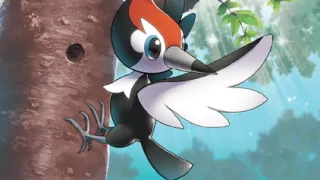 Pikipek zoals afgebeeld op zijn oudste kaart