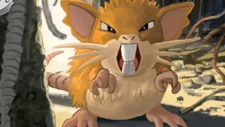 Raticate op een Pokémonkaart