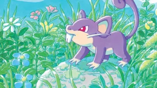 Rattata op een Pokémonkaart