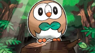 Rowlet zoals afgebeeld op zijn oudste kaart