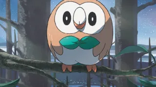 Rowlet op een Pokémonkaart