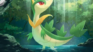 Servine op een Pokémonkaart