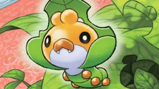 Sewaddle zoals afgebeeld op zijn oudste kaart