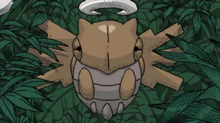 Shedinja op een Pokémonkaart