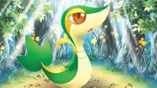 Snivy zoals afgebeeld op zijn oudste kaart