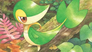 Snivy op een Pokémonkaart