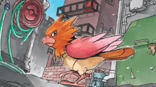 Spearow op een Pokémonkaart