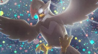Staraptor zoals afgebeeld op zijn oudste kaart