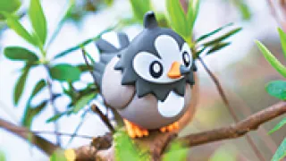 Starly op een Pokémonkaart