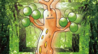 Sudowoodo zoals afgebeeld op zijn oudste kaart