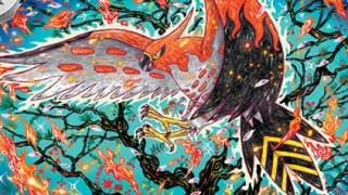 Talonflame op een Pokémonkaart