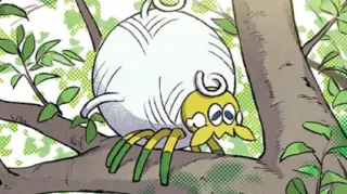 Tarountula op een Pokémonkaart