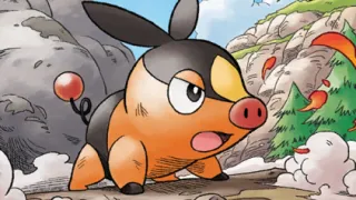 Tepig op een Pokémonkaart