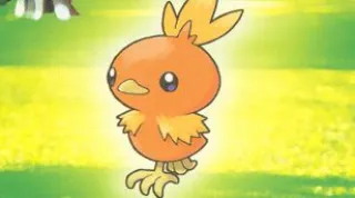 Torchic zoals afgebeeld op zijn oudste kaart